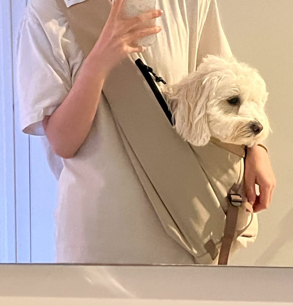 Customer photo review of Ergonomic Portable Hands-Free Pet Sling Carrier