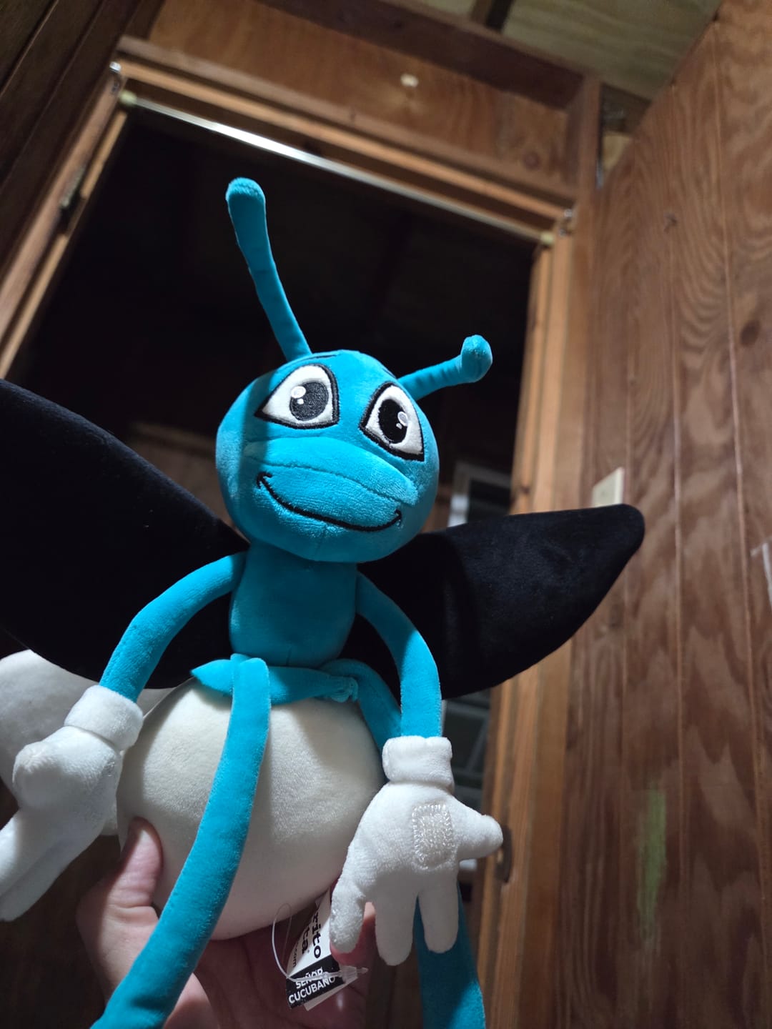 Customer photo review of El Señor Cucubano | Peluche Glow-in-the-Dark