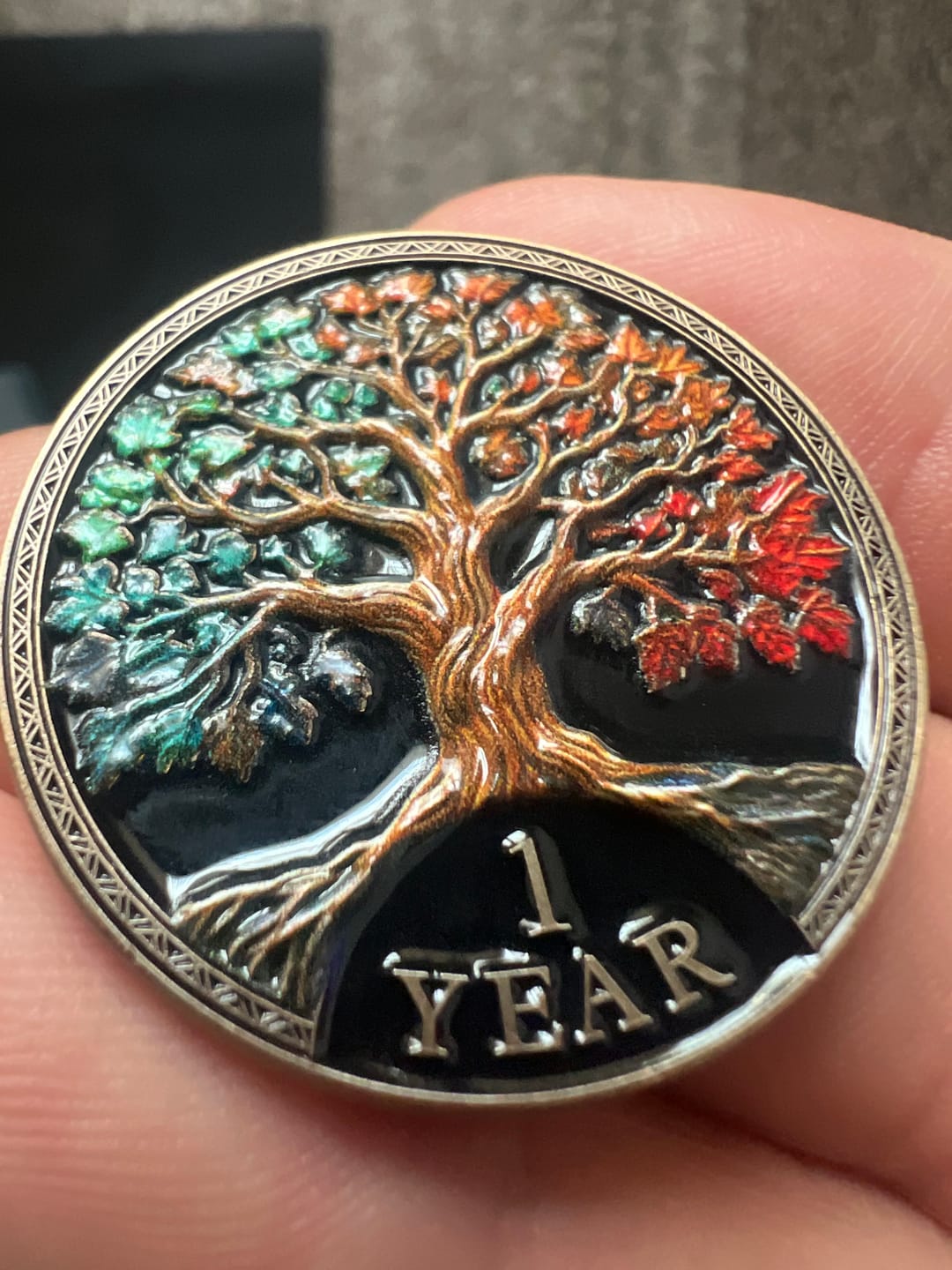 Customer photo review of Tree of Life Affirmation Sobriety Coin Gift Set - Multicolor