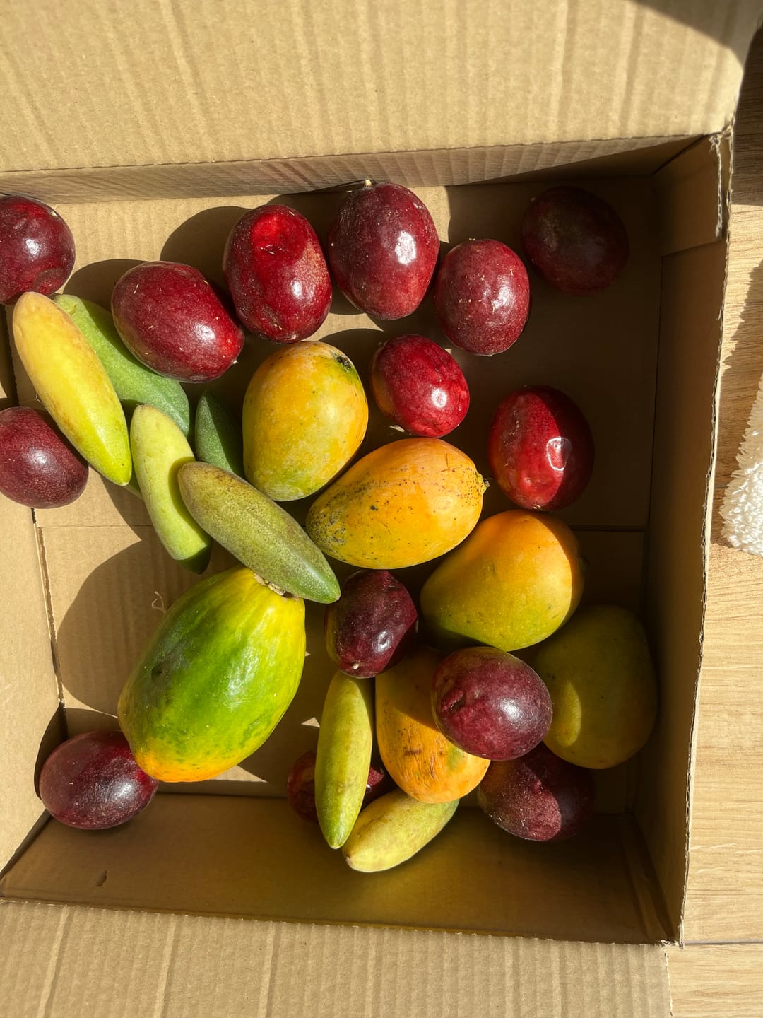 Customer photo review of Mango & Passionsfrüchte Box 2kg