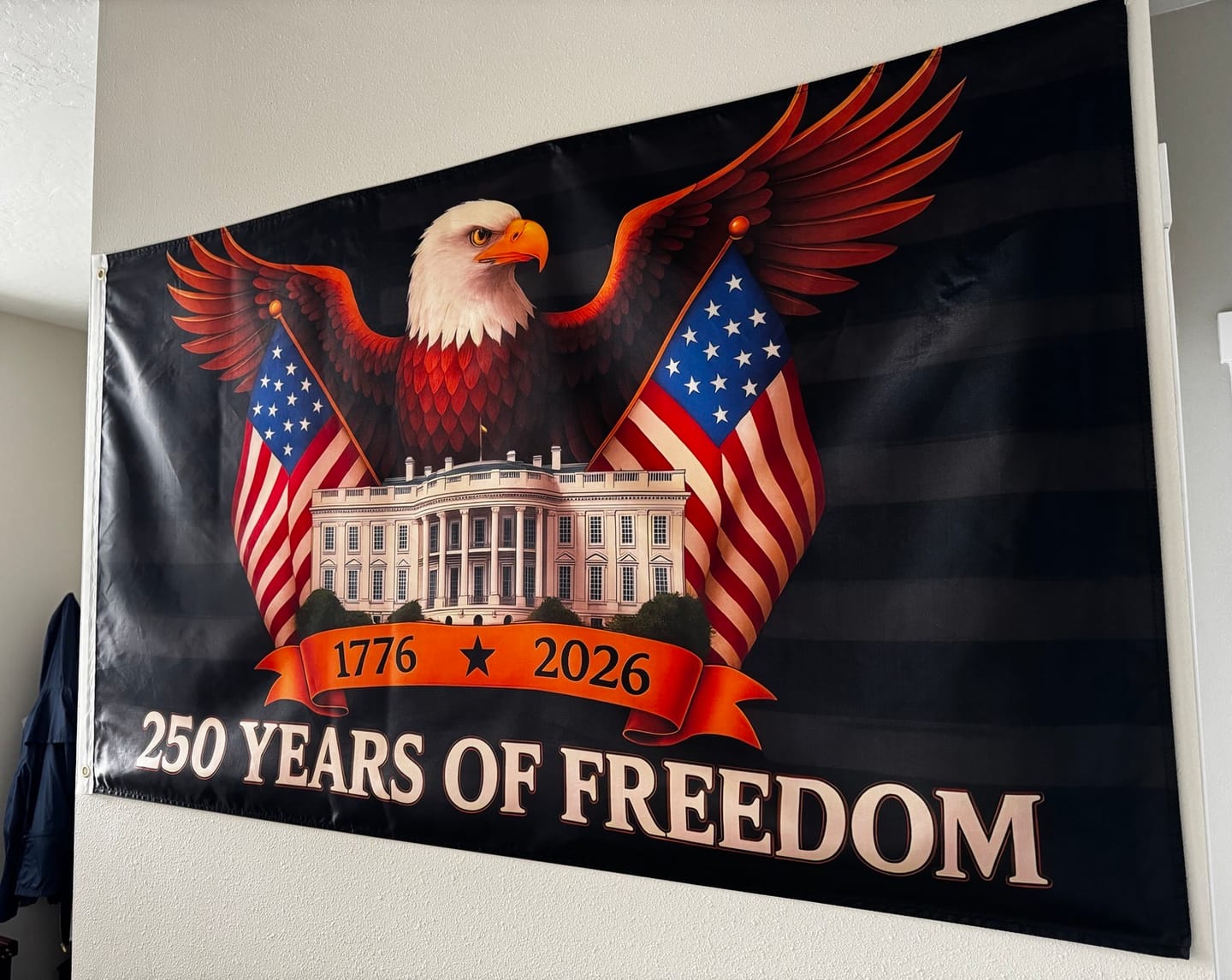 Customer photo review of 🇺🇸 250 Years of Freedom Flag – Full Size 3x5 ft Eagle & White House Patriotic Anniversary Banner (1776–2026)