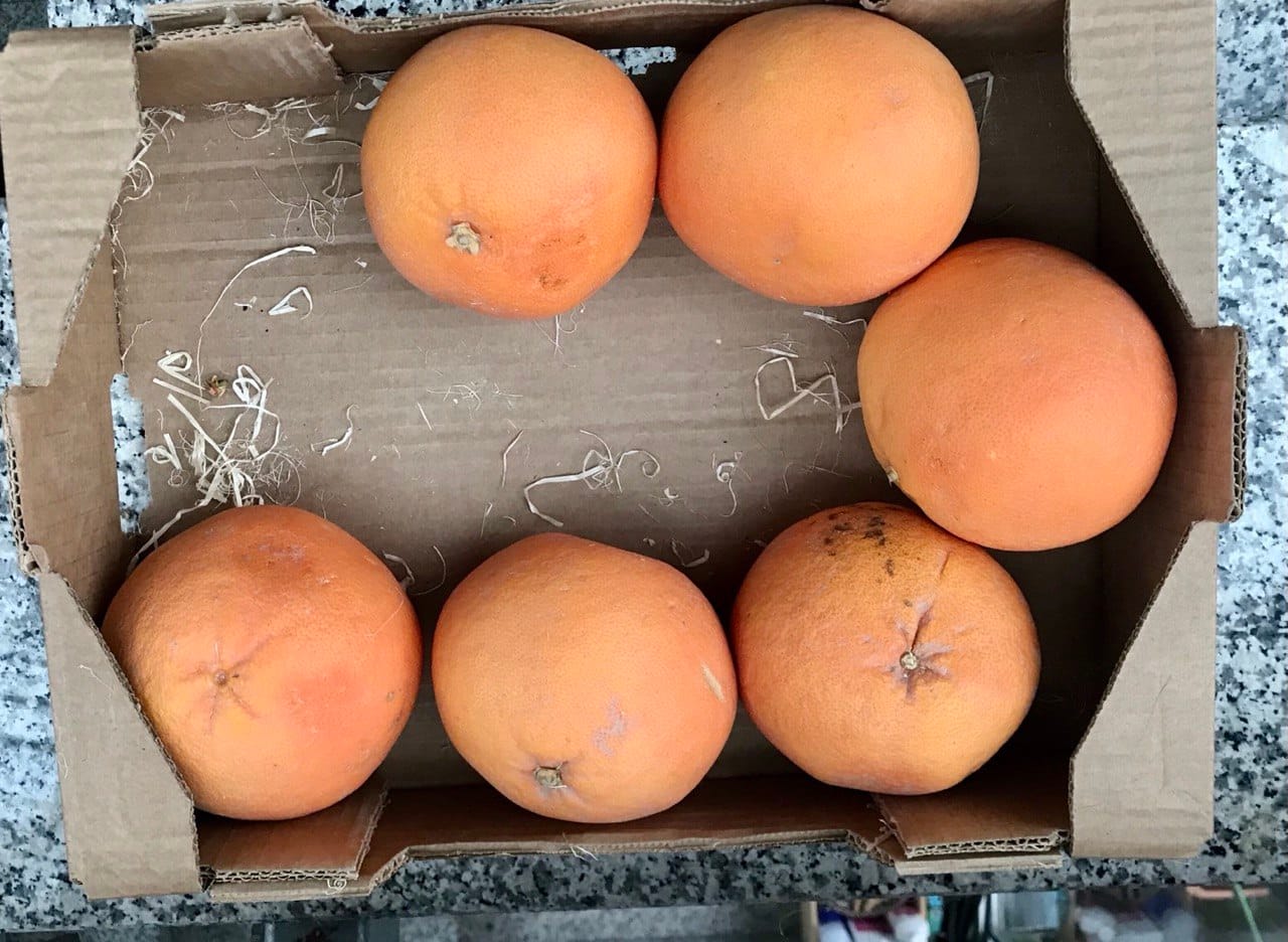 Customer photo review of Grapefruit Bio Pink Sparpreis-Box