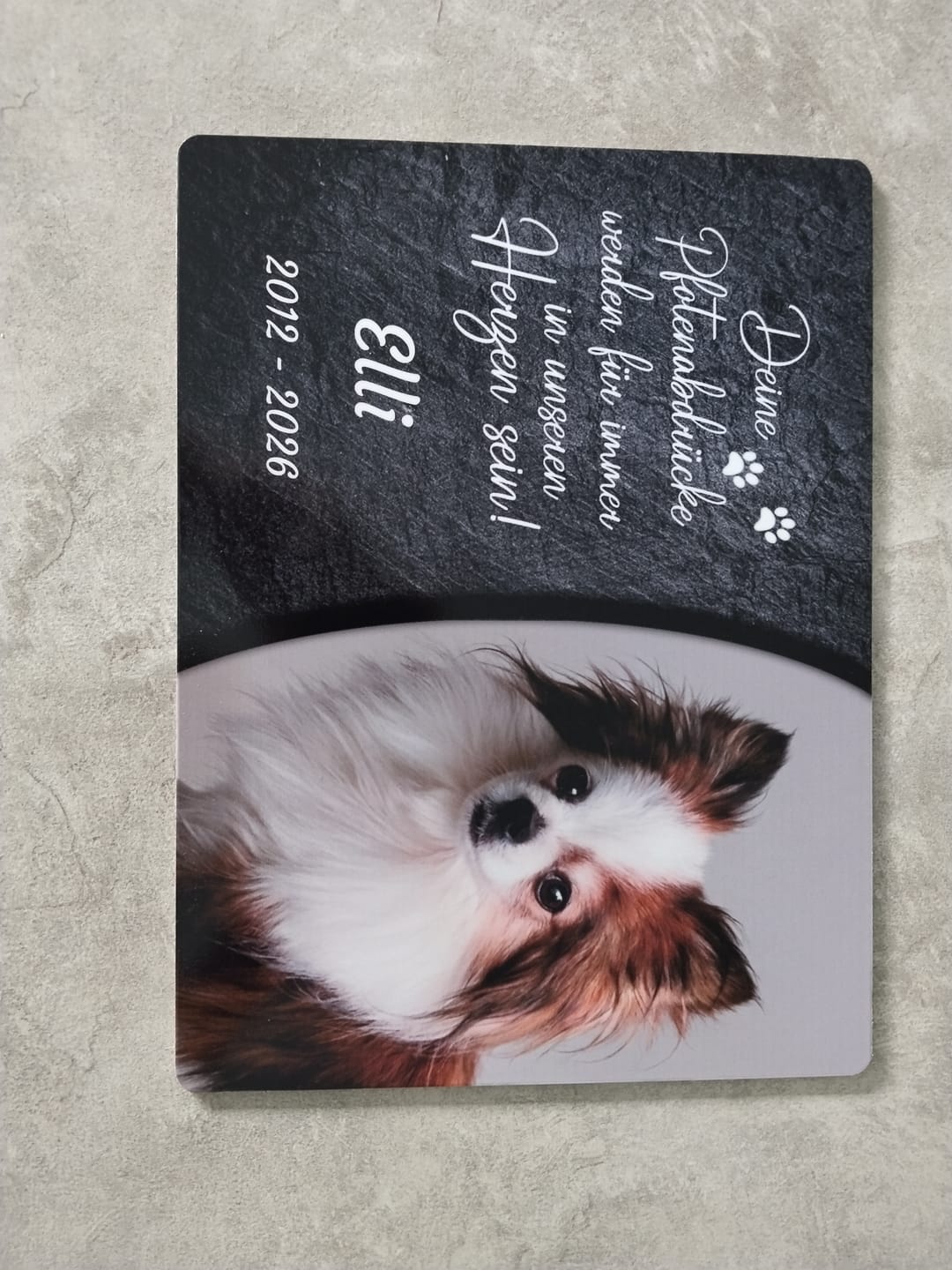Customer photo review of Hunde Gedenktafel mit Foto & Spruch (UV- & Wetterfest)