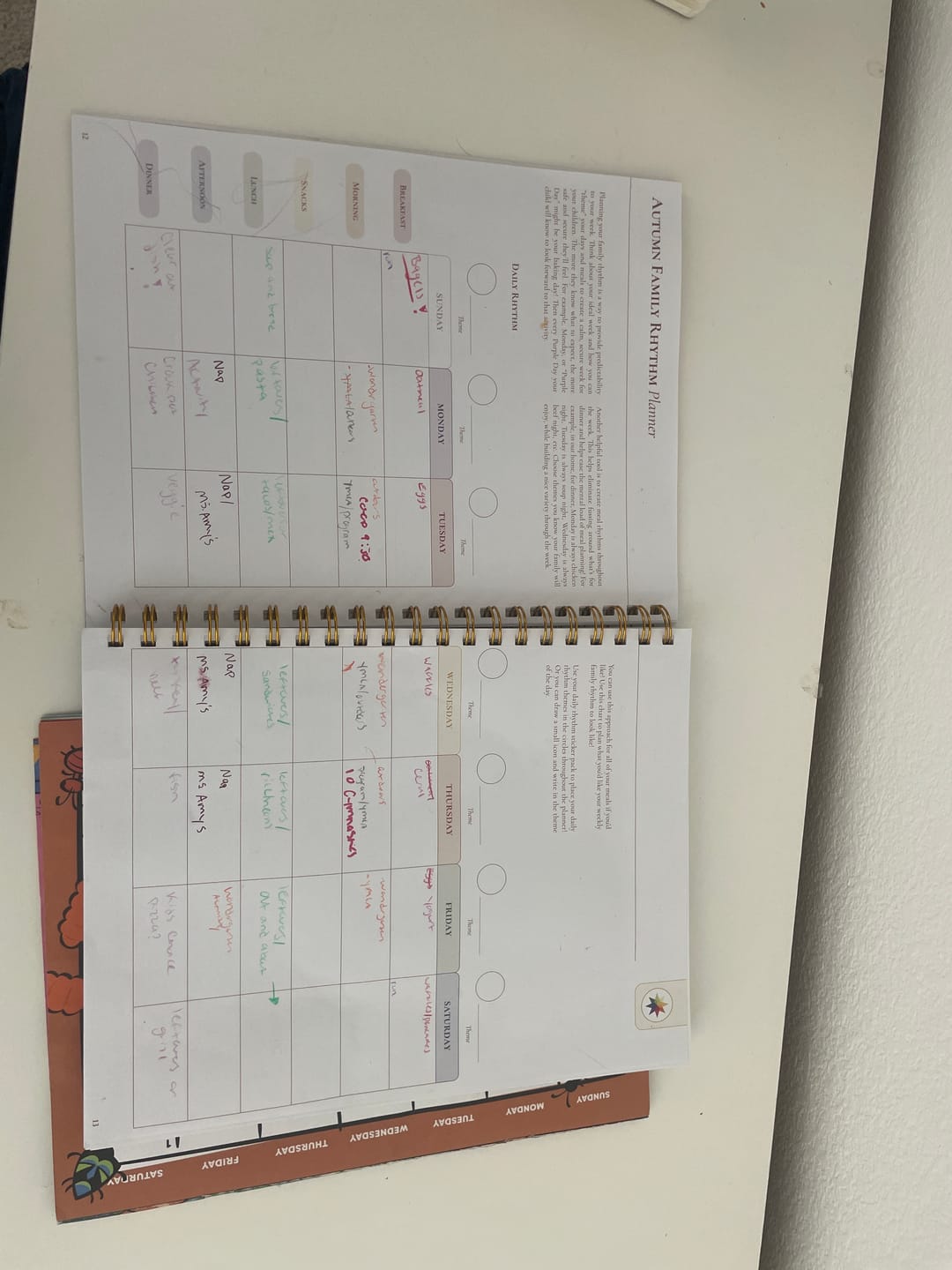 Customer photo review of Academic Year Planner 26/27