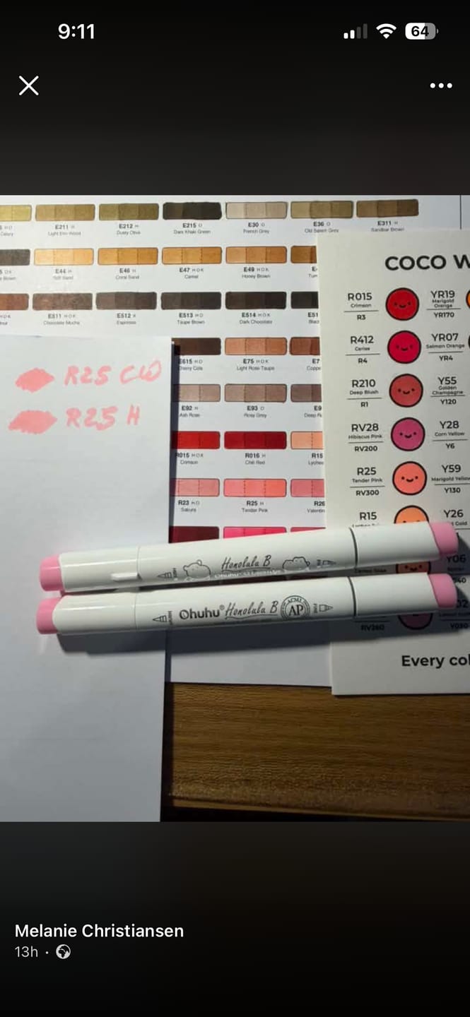 Customer photo review of Ohuhu Honolulu 48 Mid-tone Colors Dual Tips Alcohol Art Markers (New Color Codes)
