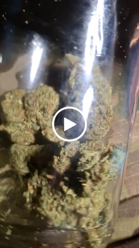 SFV OG - 14 Grams - Indica photo review