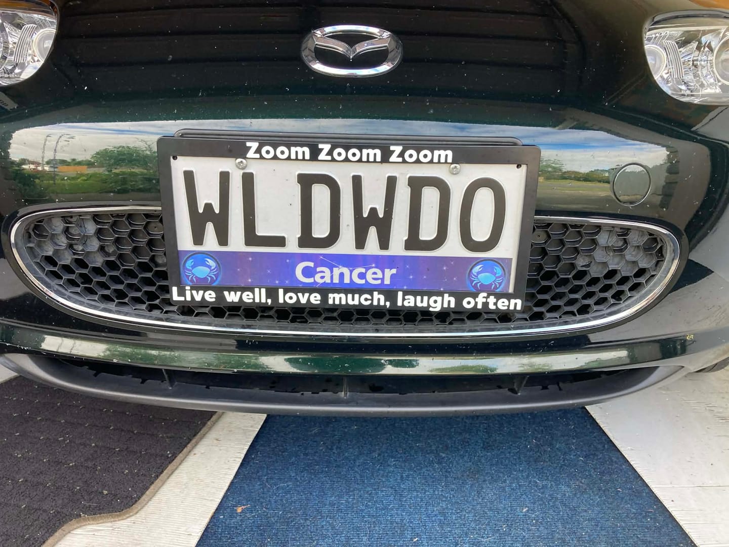 Customer photo review of Custom Plate Frames