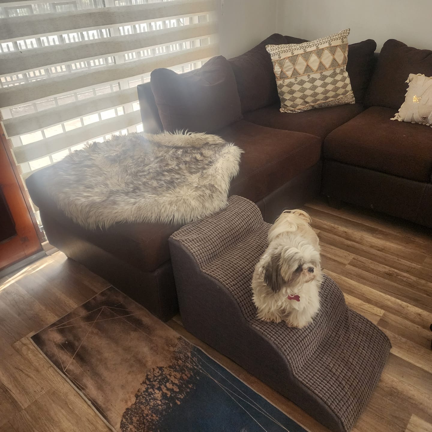 Customer photo review of Rampa Pendiente Suave THE DOGS
