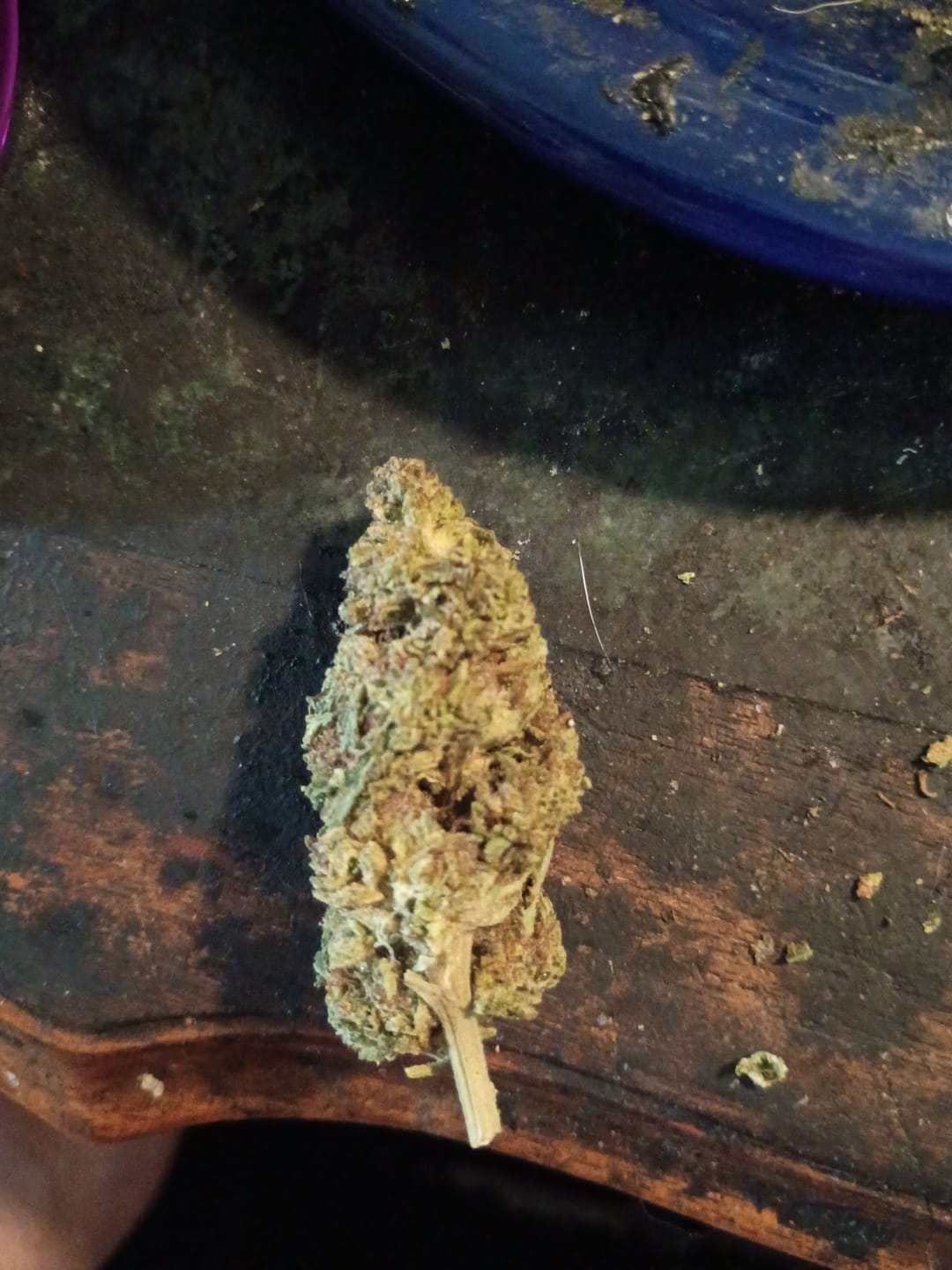 Customer photo review of Purple Kush - 28 Grams - Indica