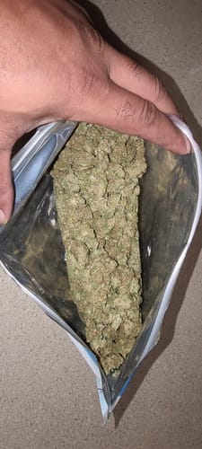 Customer photo review of Cheap THCA Flower Half Pound