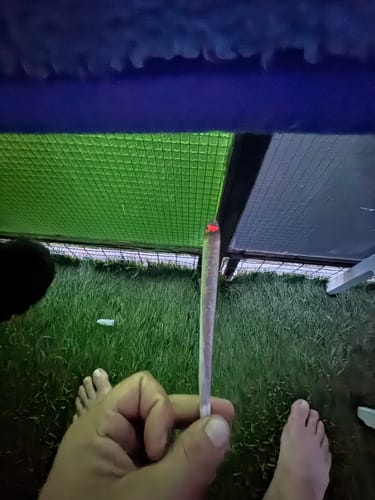 Customer's hand holding a lit, rolled joint made from CALI MIX AAA+ outdoors over a grassy area.