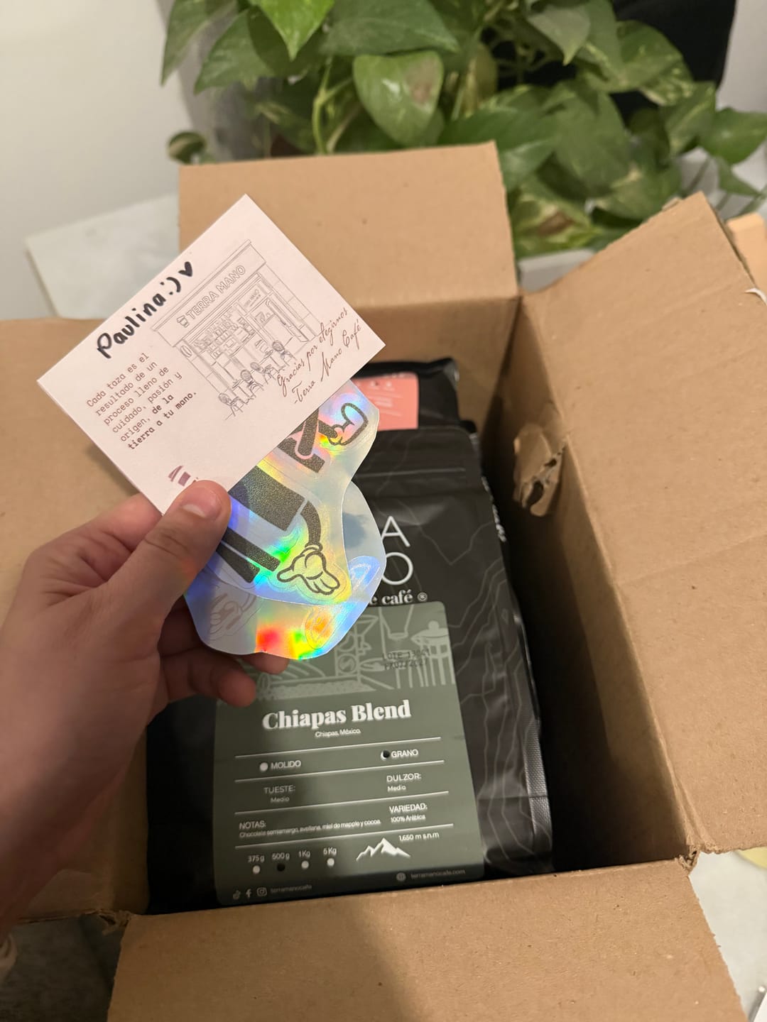 Customer photo review of COMBO ORIGEN - TERRA ANIVERSARIO 🌟