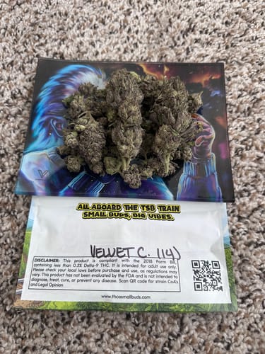 Customer photo review of Velvet Cream THCA Flower