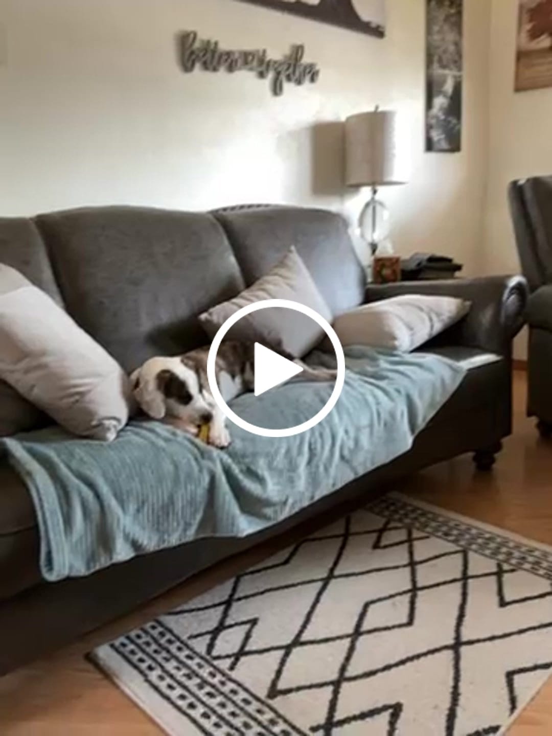 Customer video review of Yak Chew Nuggets Dog Treats | Natural Dog Cheese Treats