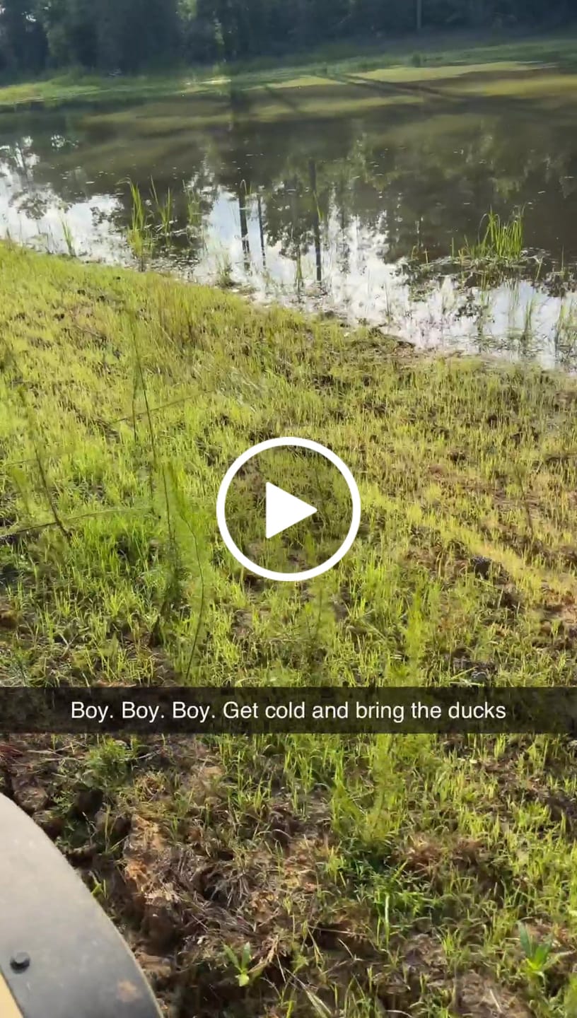 Customer video review of Waterfowl Blend