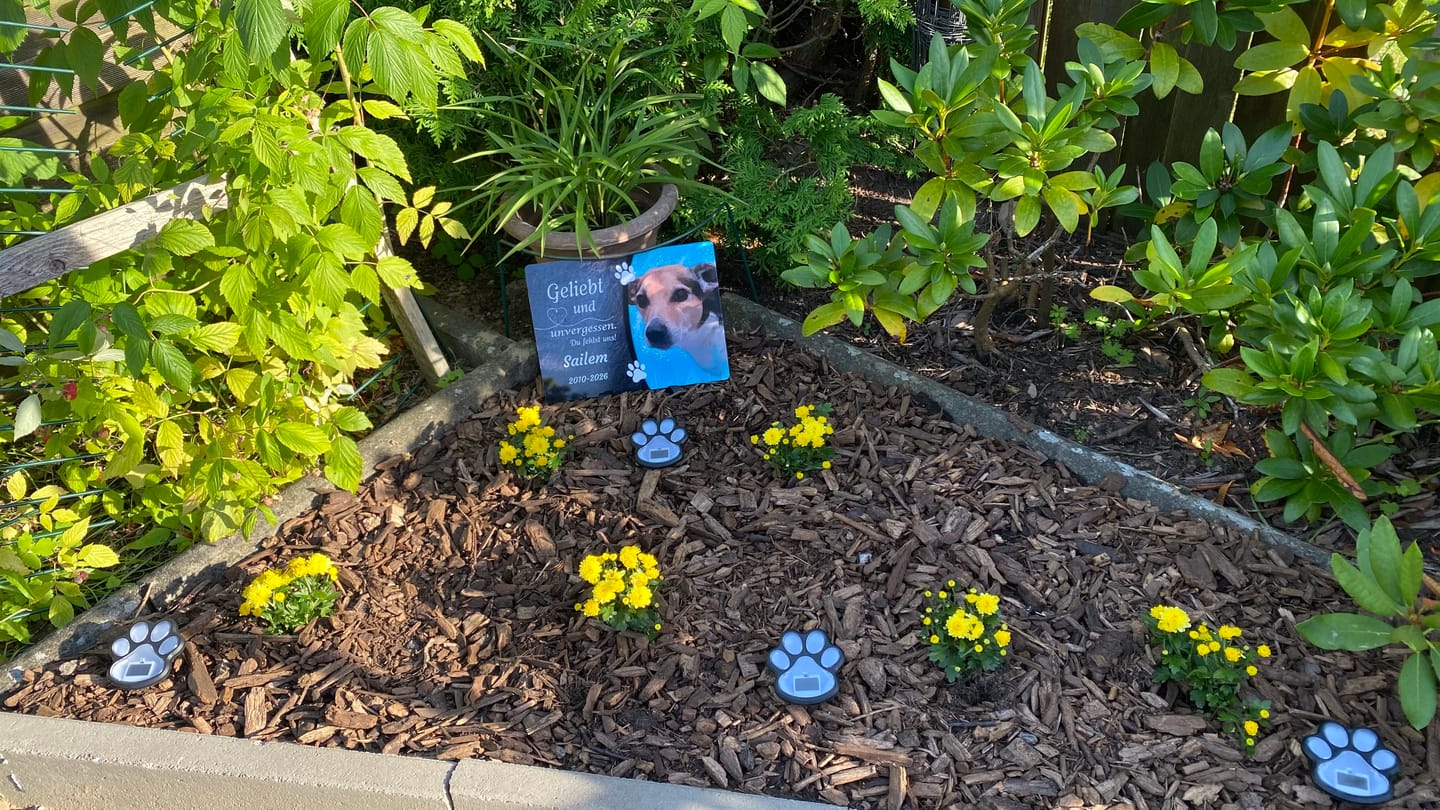 Customer photo review of Hunde Gedenktafel mit Foto & Spruch (UV- & Wetterfest)