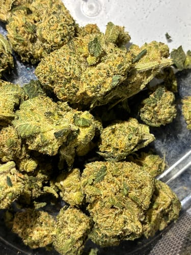 Customer's close-up of the Biscotti THCA Flower (Budget), showing small, light-green buds.