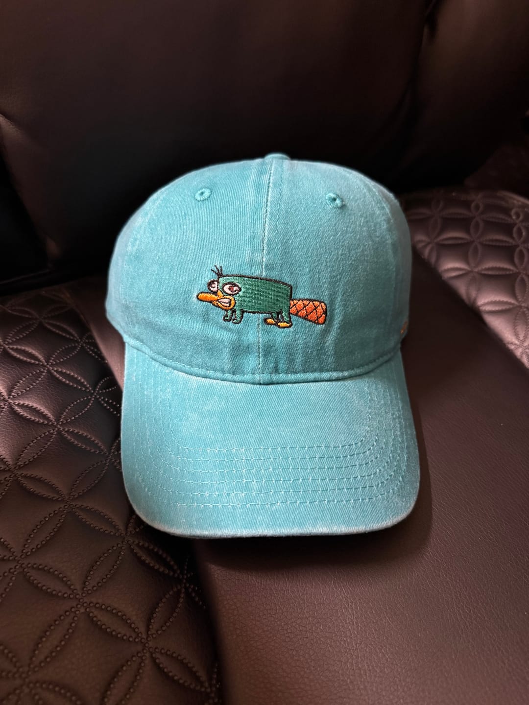 Customer photo review of Disney’s Phineas and Ferb "Semi-Aquatic Egg-Laying Mammal of Action" – Dad Hat