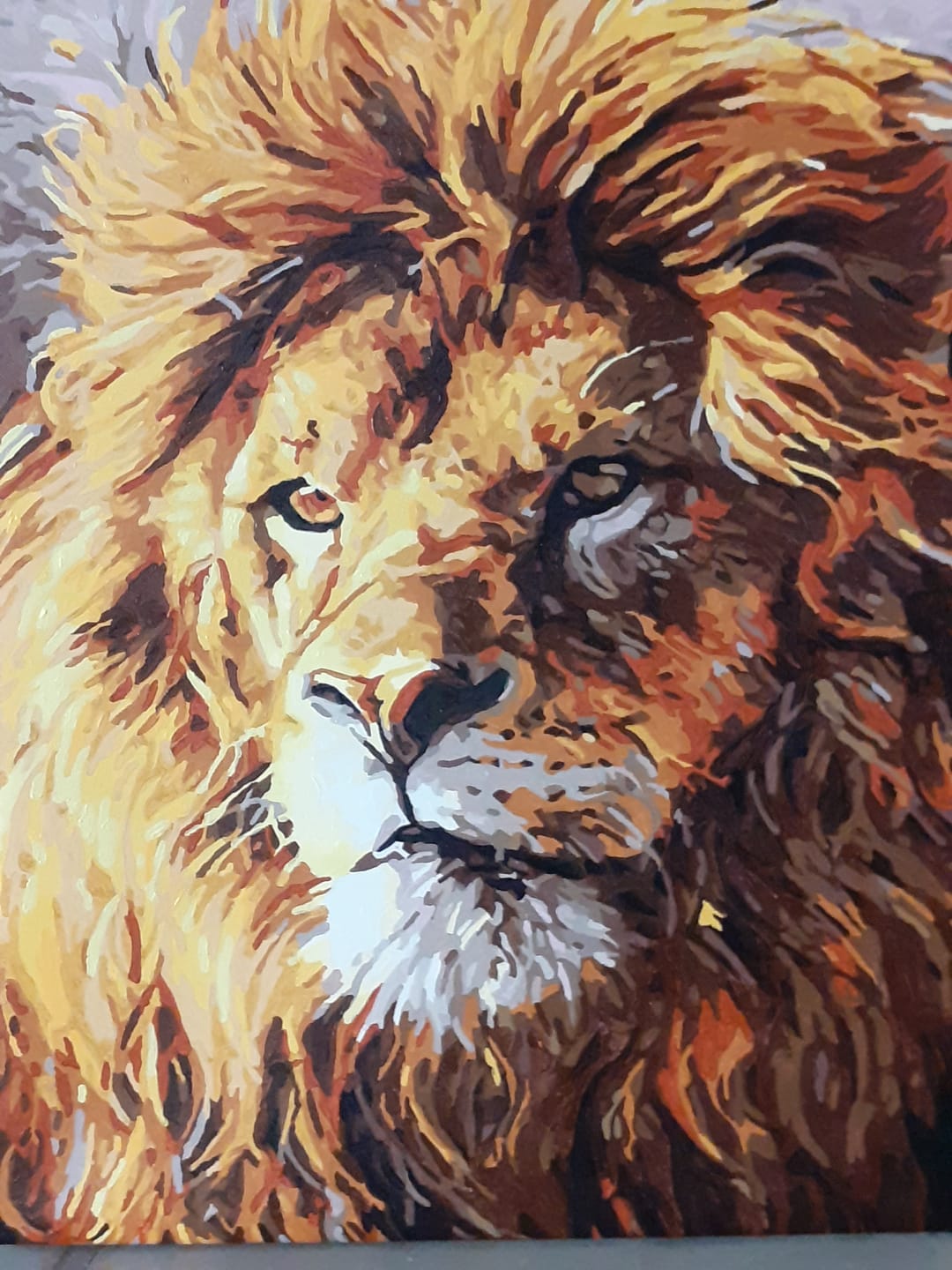 Customer photo review of Animal Lion Diy Paint By Numbers Kits Uk ZXQ3287 VM80043