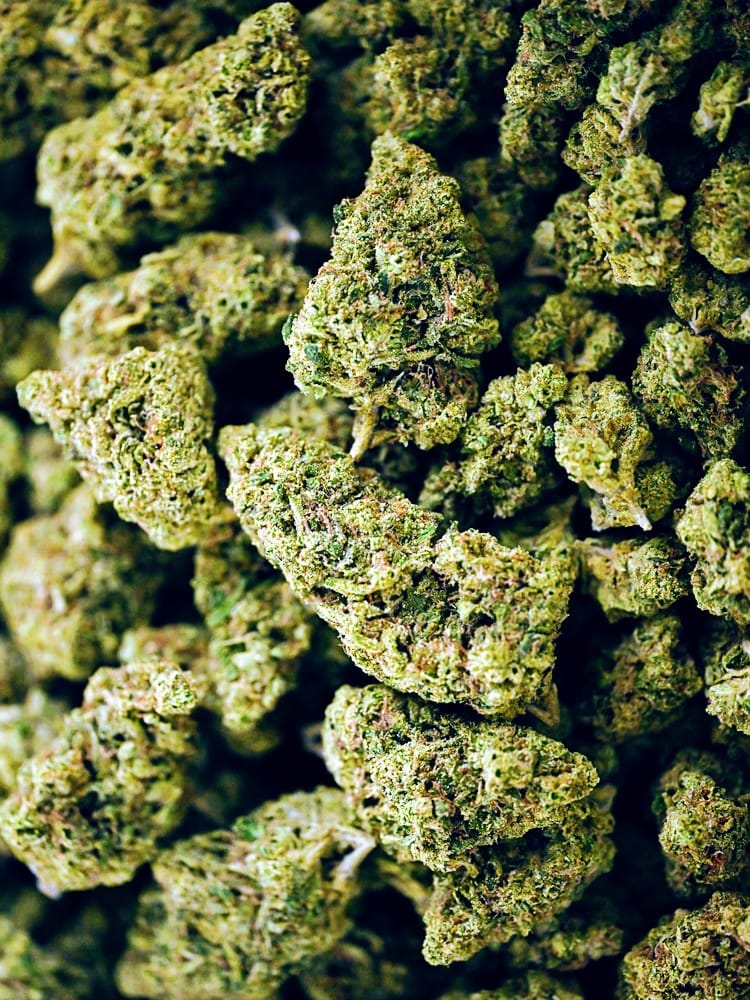 Customer photo review of Lemon Zonkers