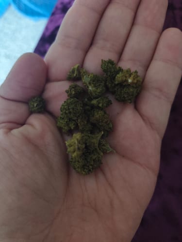 Chem Dawg - Minis - 28 Grams - Hybrid photo review