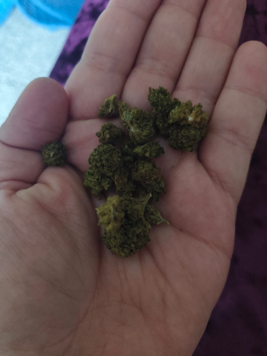Customer photo review of Chem Dawg - Minis - 28 Grams - Hybrid