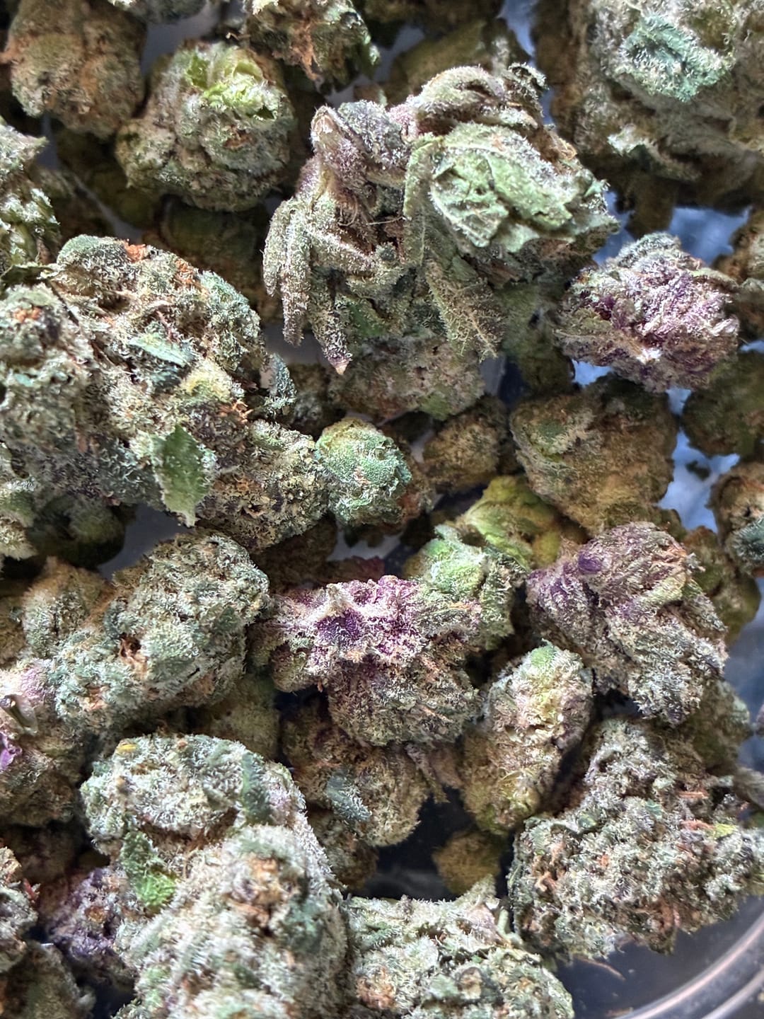Customer photo review of Cereal Milk THCA Flower (Budget)