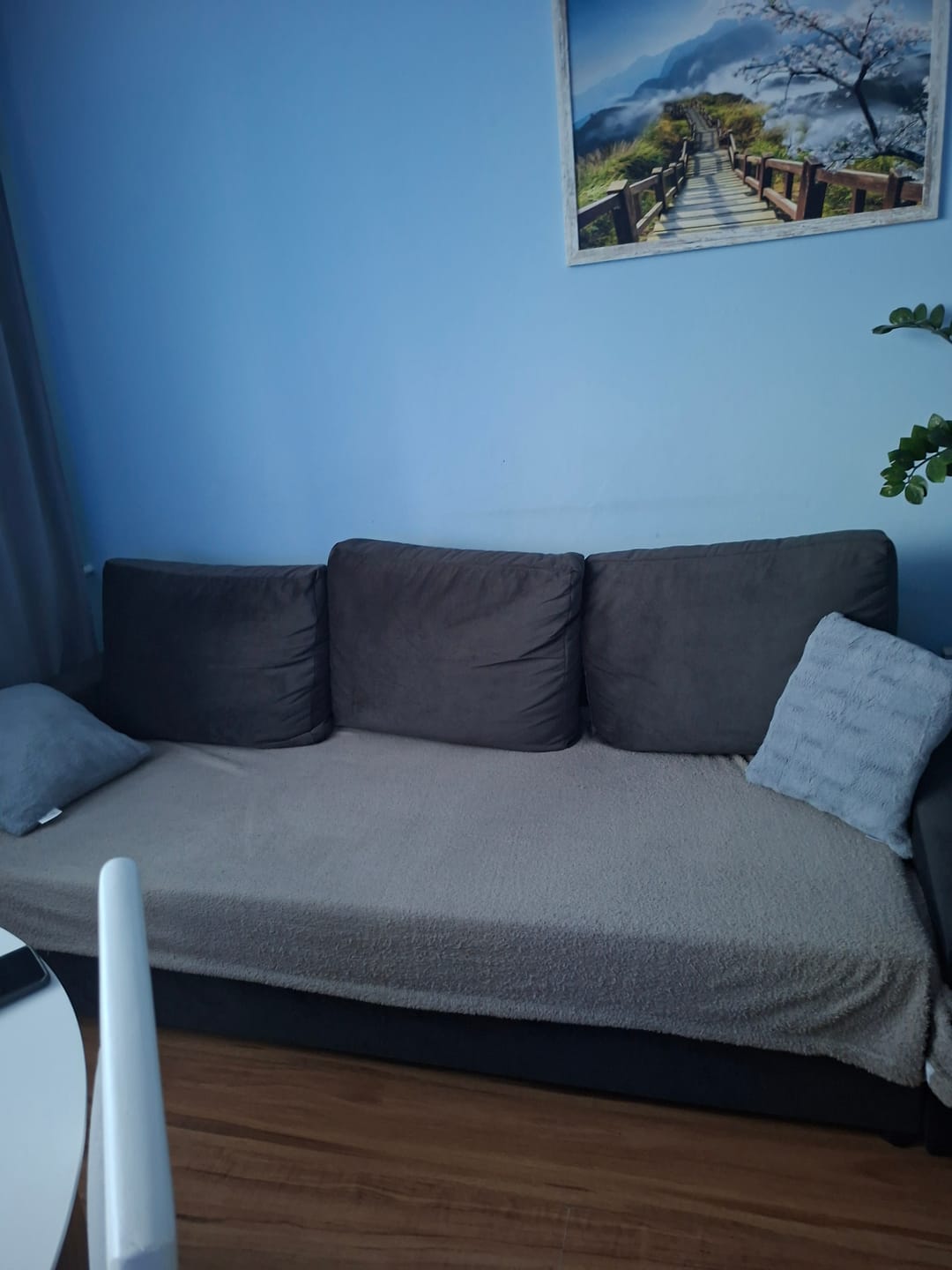 Customer photo review of Kanapa NEO BS velvet