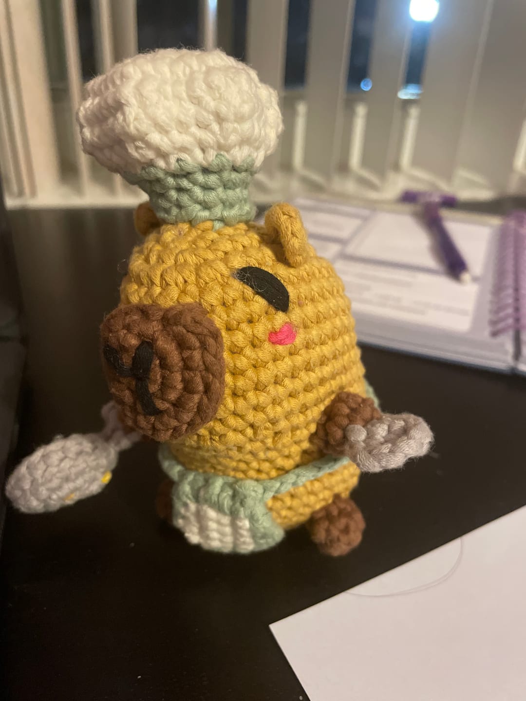 Customer photo review of Gus The Chef Capybara