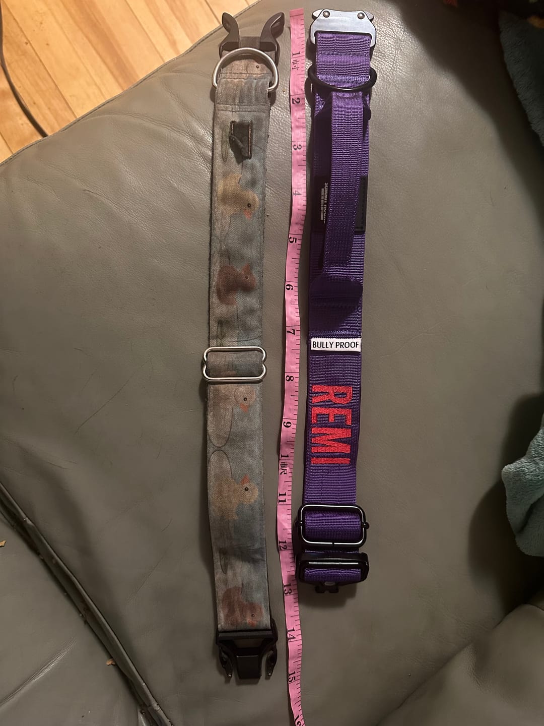 Customer photo review of Bully Proof Collar
