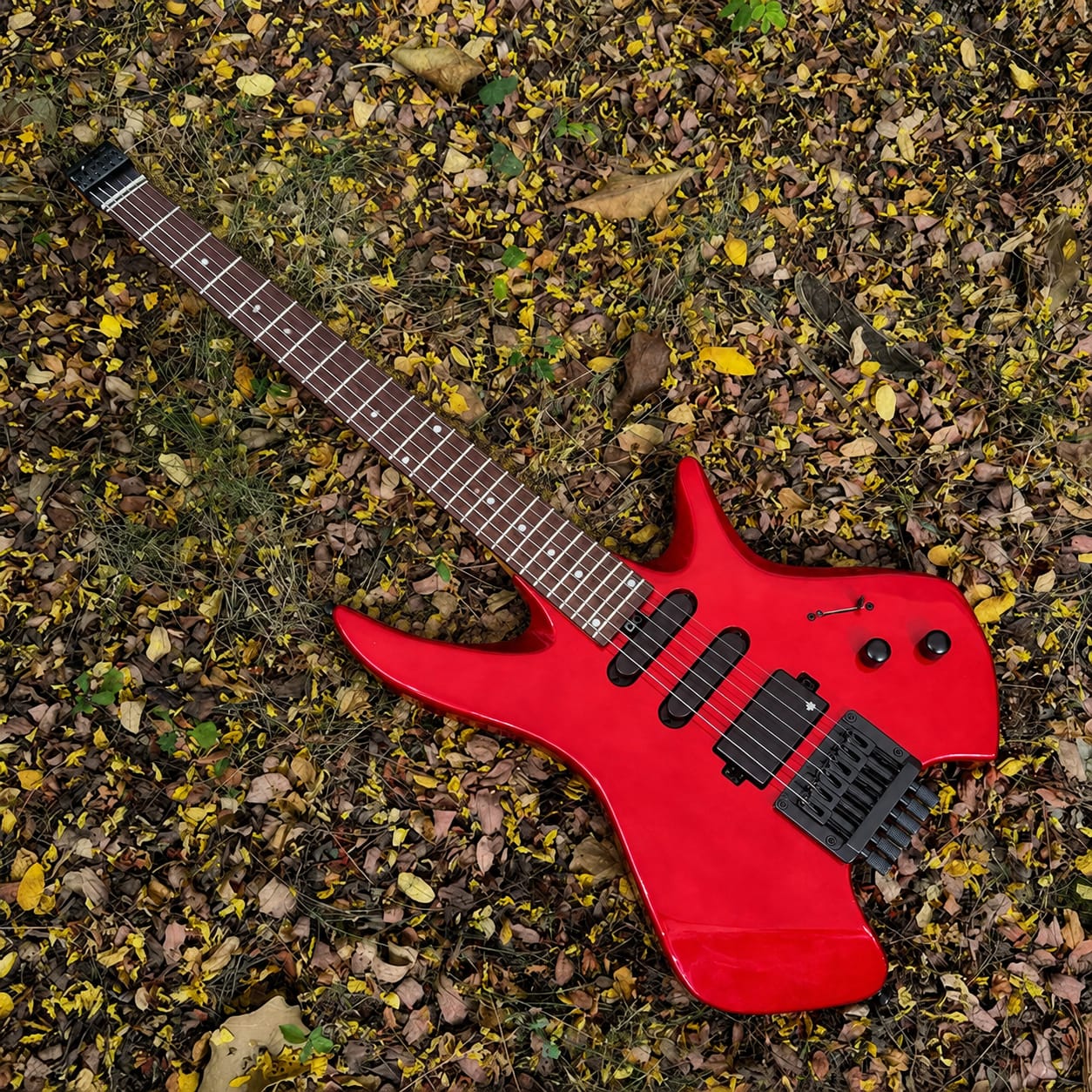 Customer photo review of Donner HLX-500 Guitare Électrique Moderne Sans Tête【ancienne réf. NHL-500】