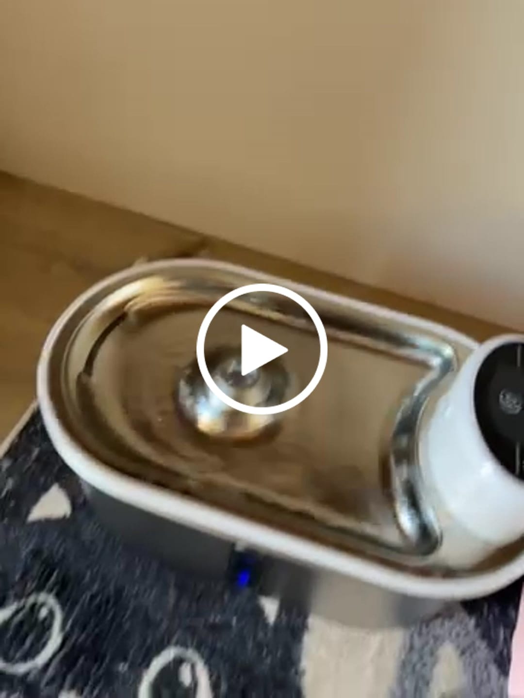 Customer video review of Petbuds Flow Pet Drinking Fountain
