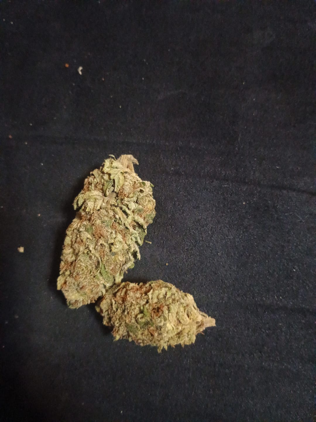 Customer photo review of Candy Gas Light Assist THCA