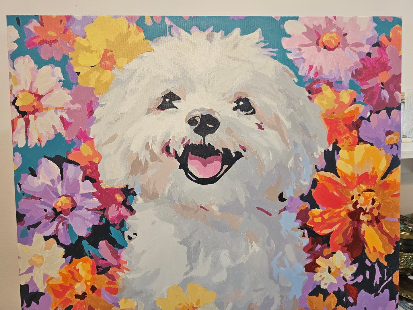 Customer photo review of Bichon Frise