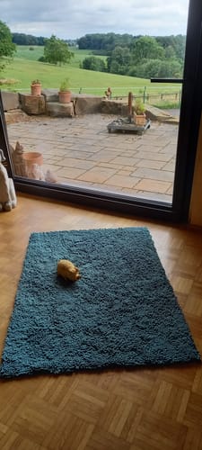 Customer photo review of Premium - CleanyMat