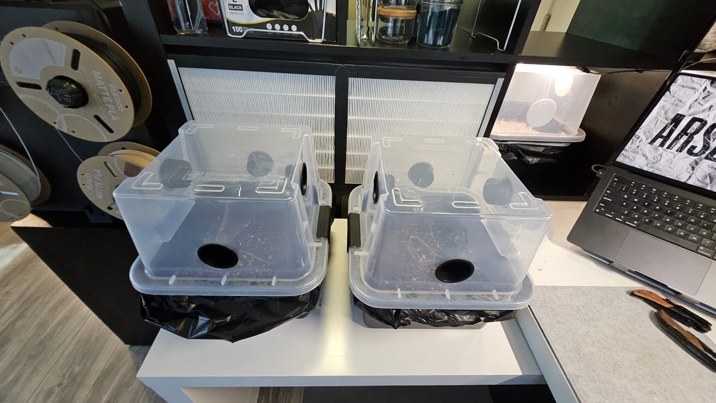 Customer photo review of 'Mark 1' Medium Mushroom Monotub Package