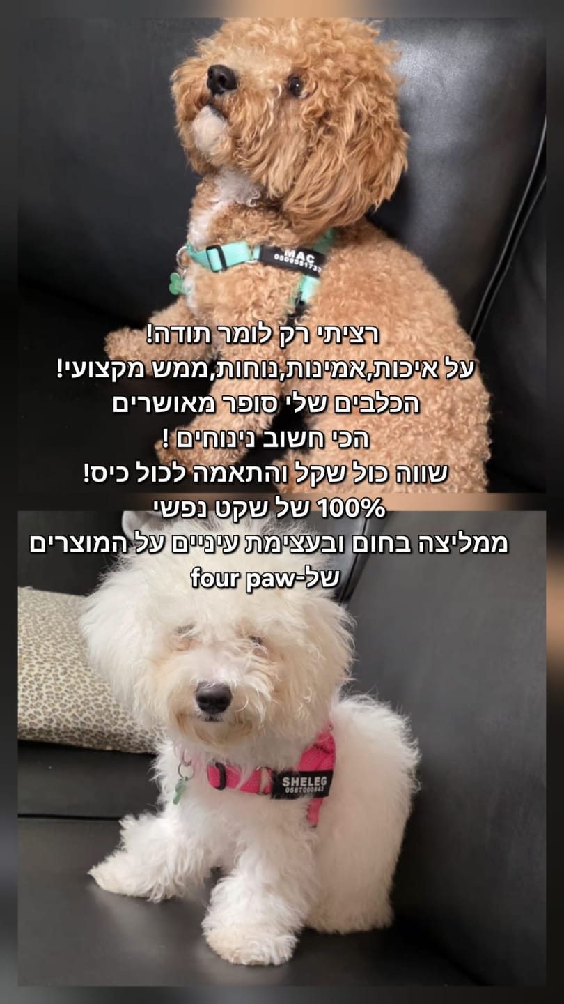 Customer photo review of SafeWalk® No-Pull 2.0 - רתמה נגד משיכות מותאמת אישית