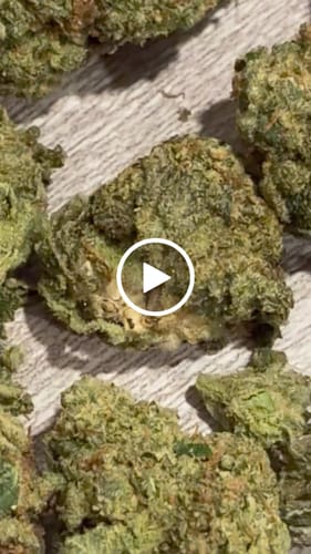Laughing Gas - Bulk - Hybrid photo review