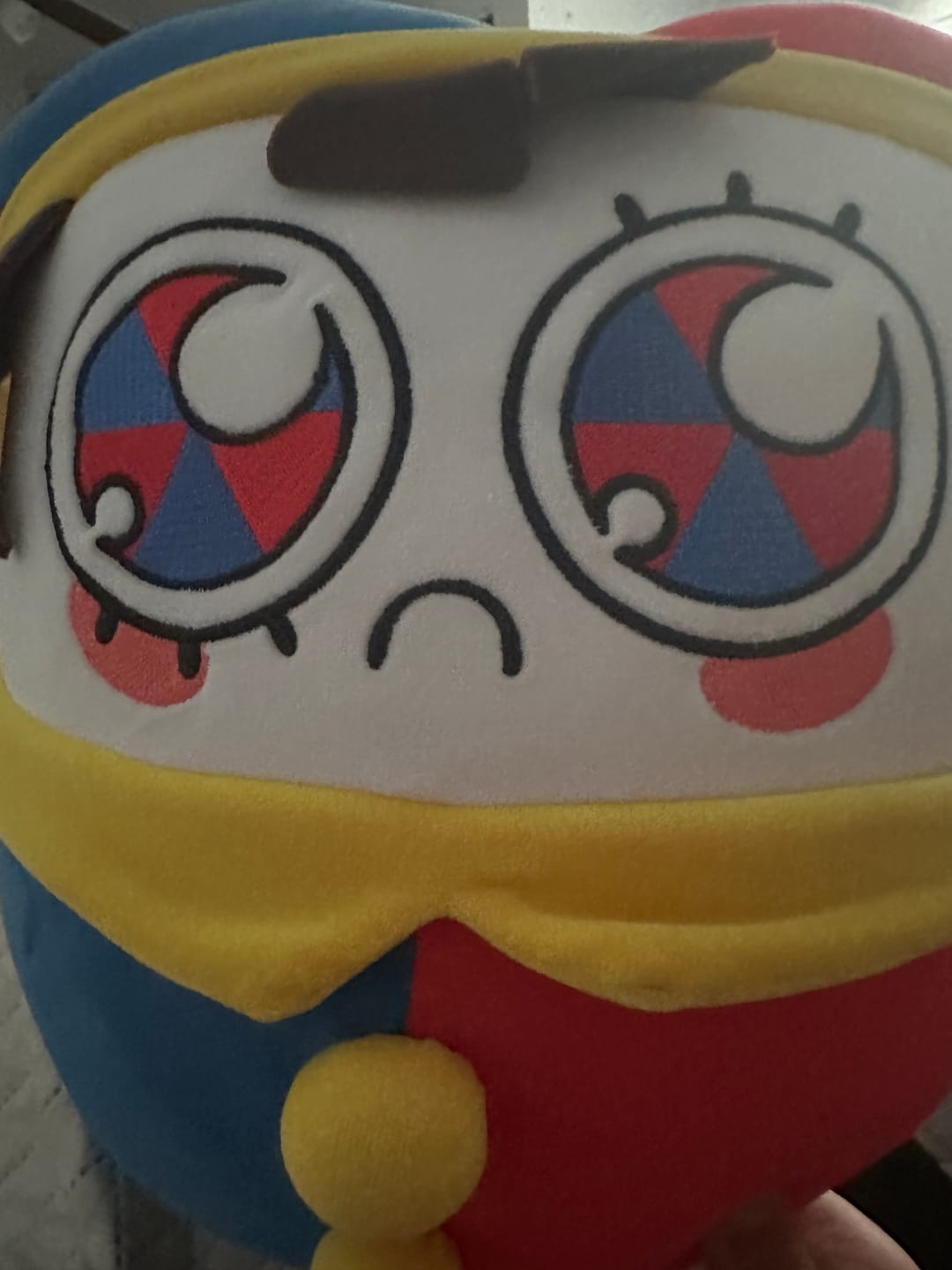 Customer photo review of Pomni Chonk Plush
