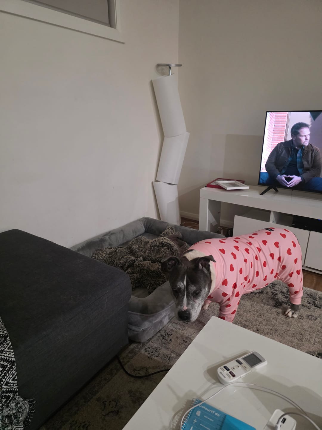 Customer photo review of Dog Pajama - Pink Hearts