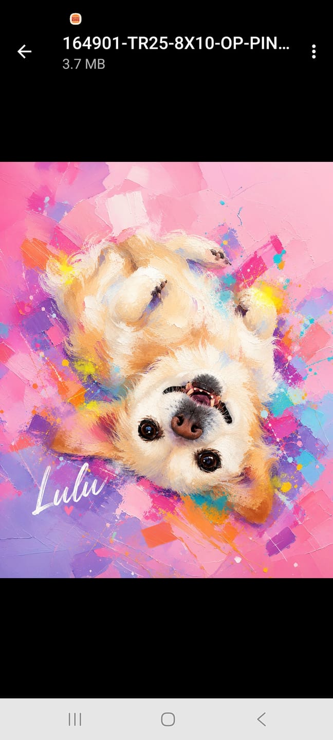 Customer photo review of Custom Pet Portrait Canvas - Modern Oil Painting