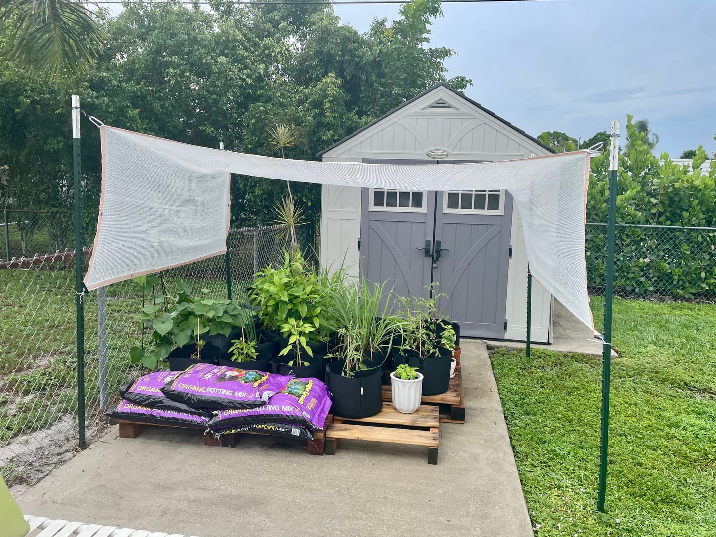 Customer photo review of 50% Shade Cloth