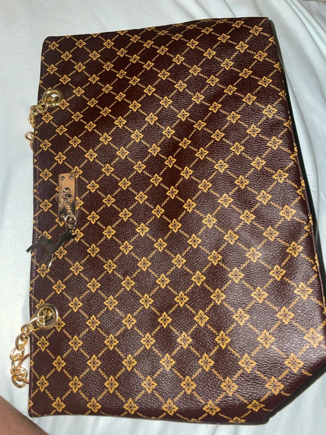 Customer photo review of Coach Brook Flap Chain Bag