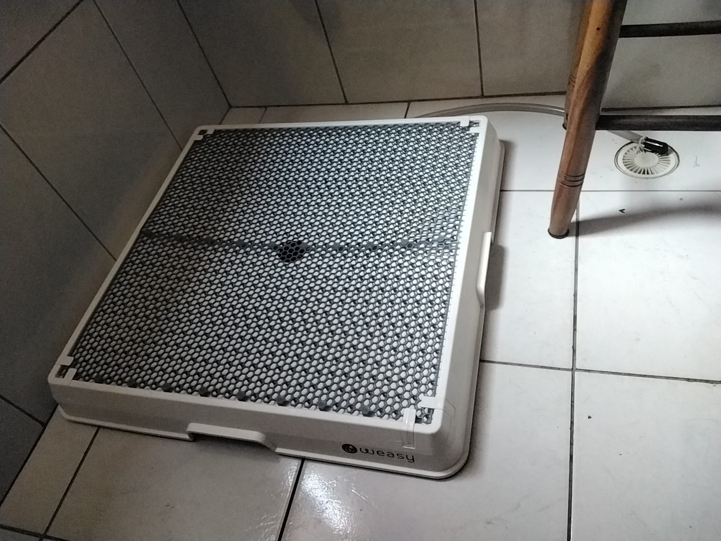 Customer photo review of Weasy Cão | Banheiro inteligente para cachorro