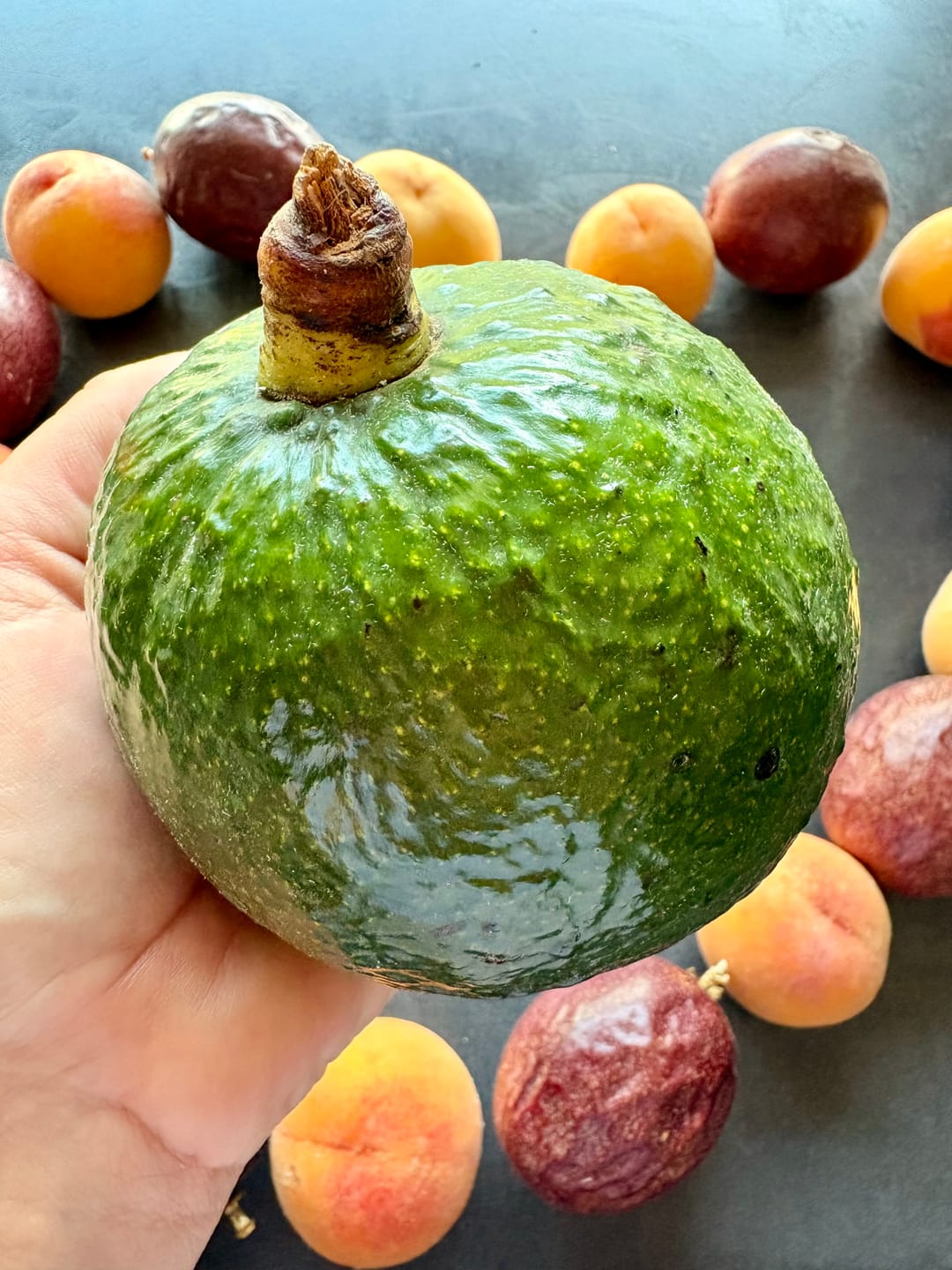 Customer photo review of Avocado Margarida (Stk. ca. 500g)