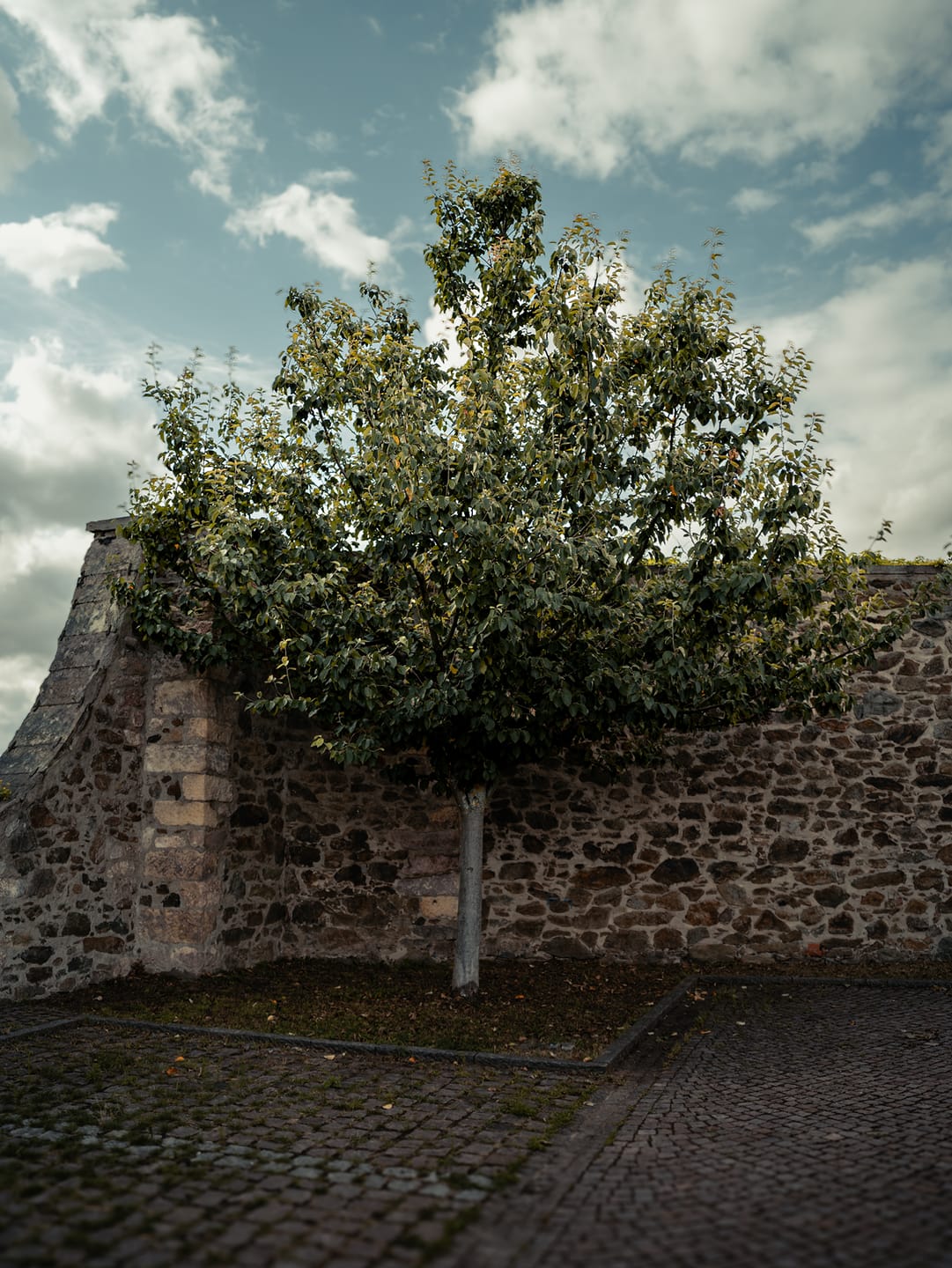 Customer photo review of Simera 28mm f/1.4 Z/M/E/RF/X Mount Full-Frame Manual Lens