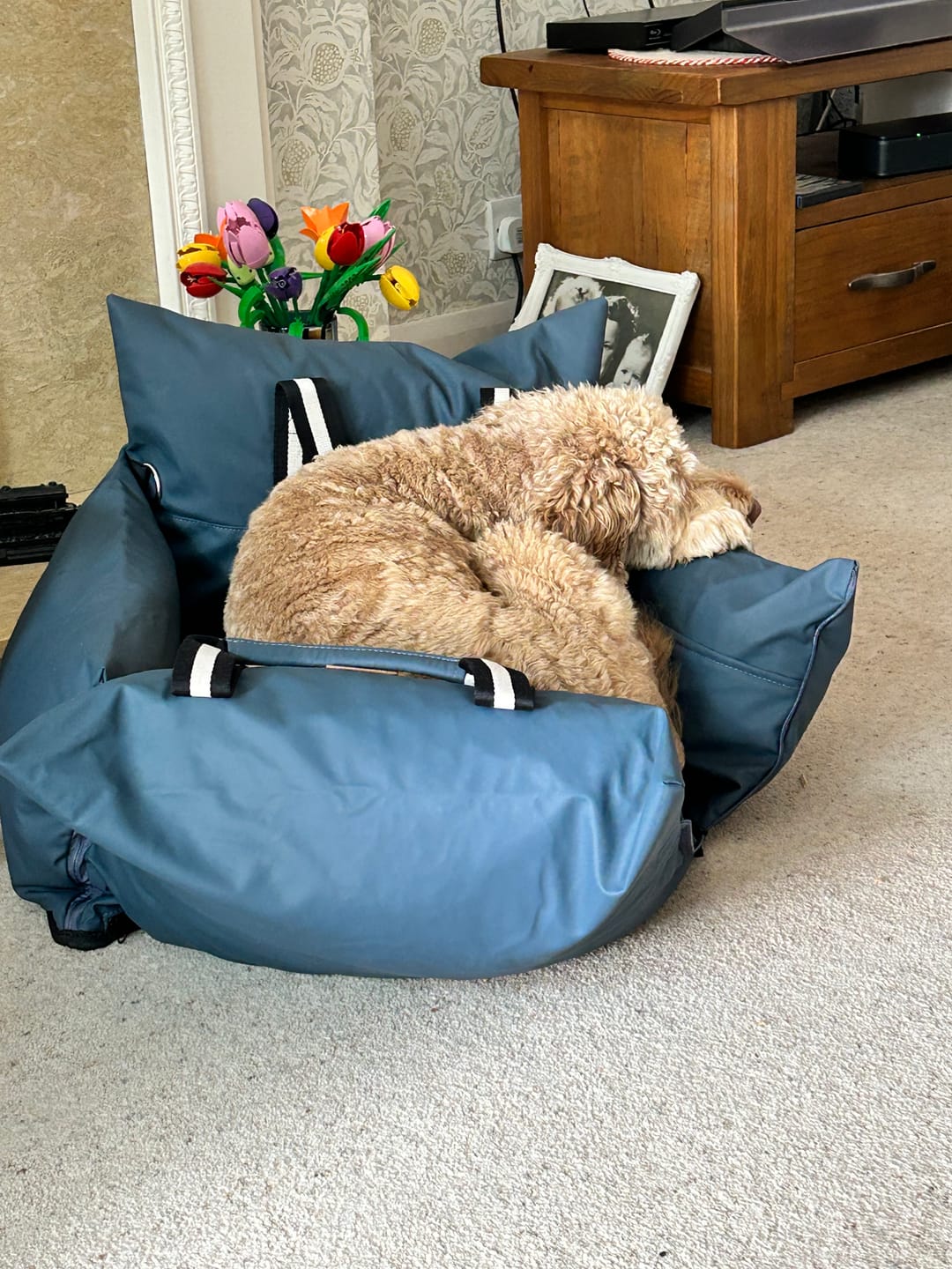 Customer photo review of The Dog Dock V2 New & Improved with ISO Fix