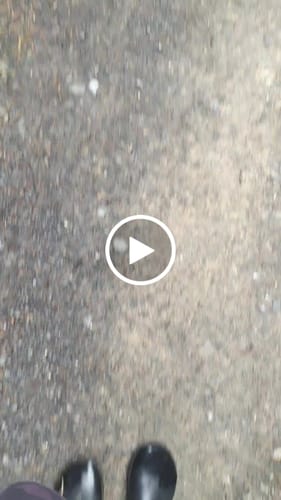 Customer video review of Brisk Ⅰ - Barefoot Rain Boots