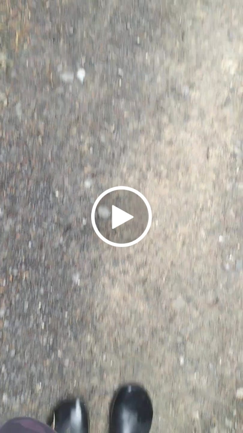 Customer video review of Brisk Ⅰ - Barefoot Rain Boots