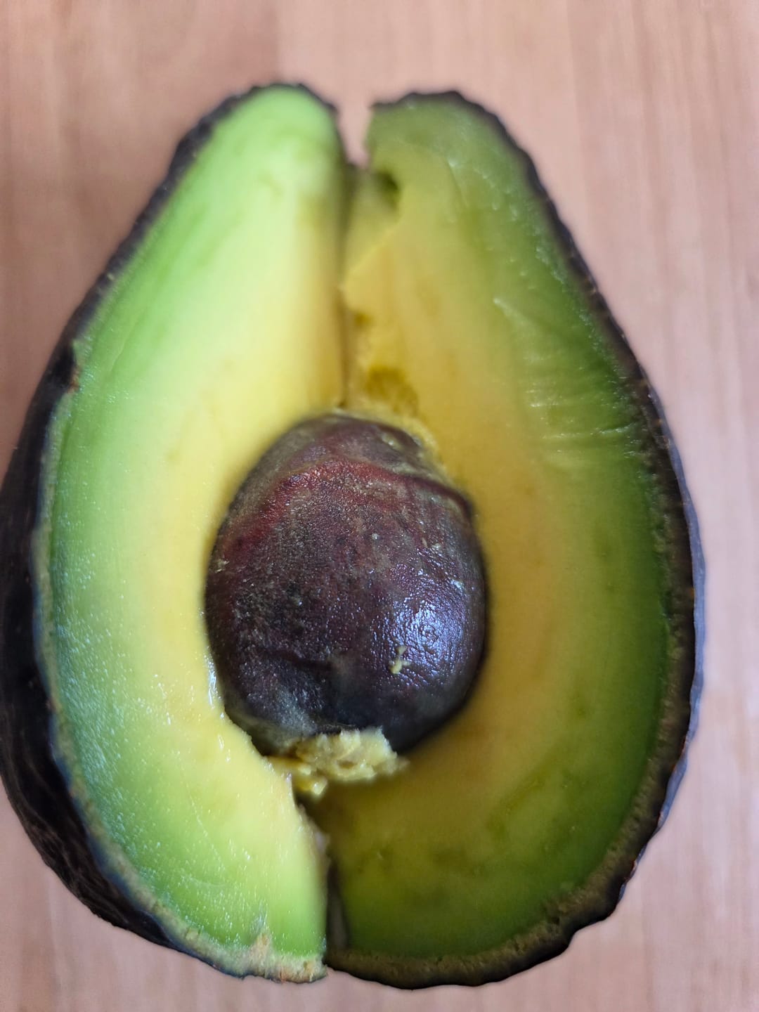 Customer photo review of Avocado "Lamb Hass" 15 Monate baumgereift von Julian